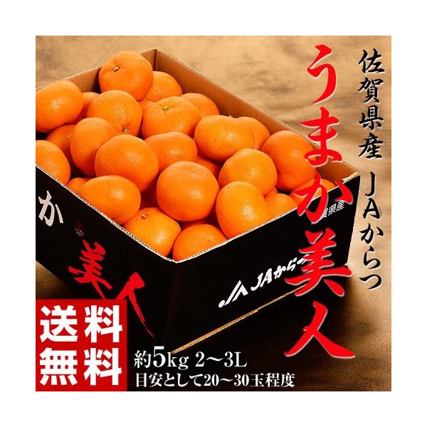 JA  ܂l ꌧY ݂ 2L`3L 5kg Yn 퉷 