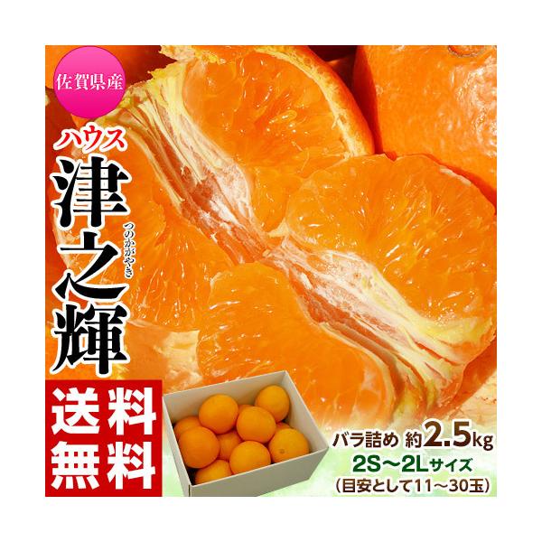 津之輝（つのかがやき） 佐賀県産 JAからつ 2S〜2Lサイズ 約2.5kg 簡易