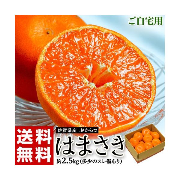 はははさま専用 選べる柑橘2年生 楽天市場】はまさき 2kg 佐賀県産 送料無料 せとか の姉妹品種