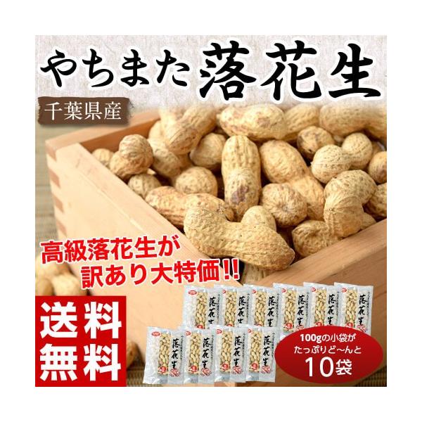 tXY wktԐx100g×10 퉷 
