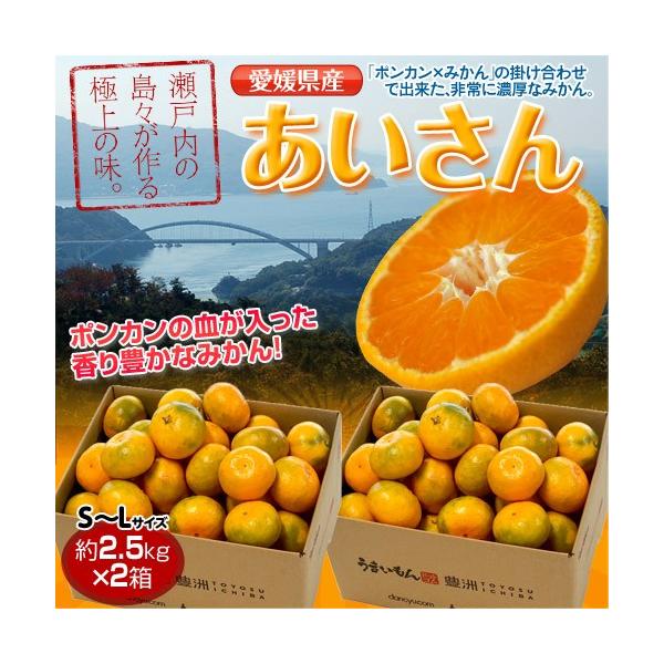 みかん 愛媛県産 あいさん S〜Lサイズ 約2.5kg×2箱 送料無料