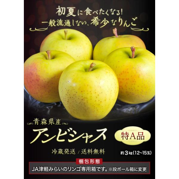 リンゴ 林檎 りんご 青森県産 アンビシャス 約3kg 9 12玉 特aランク 産地箱 冷蔵 送料無料 Buyee Buyee 提供一站式最全面最專業現地yahoo Japan拍賣代bid代拍代購服務 Bot Online