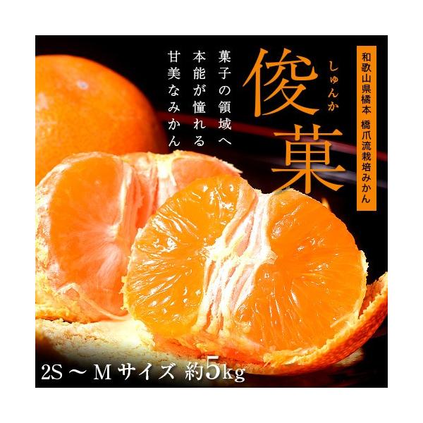 ܗ͔|݂ r () a̎RY 2S`MTCY 5kg 퉷 