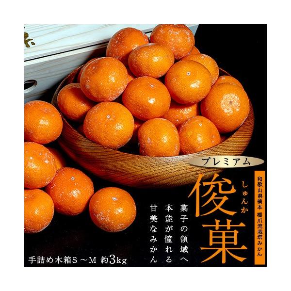 ܗ͔|݂ r () v~AaO~ a̎RY S`MTCY 3kg ؔ퉷 