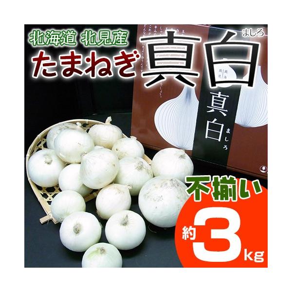 北海道北見産 玉ねぎ 真白 ましろ 化粧箱 不揃い S 2l 約3kg 冷蔵 3i 豊洲市場ドットコムヤフー店 通販 Yahoo ショッピング