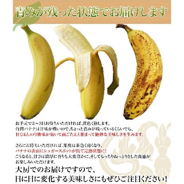 送料無料 台湾産 台湾バナナ 北蕉種 大房1房 13 22本 1 5kg以上 常温 Frt Buyee Buyee 日本の通販商品 オークションの代理入札 代理購入