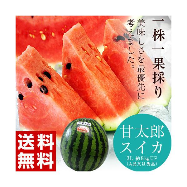 すいか 甘太郎（かんたろう）千葉県富里産 A品または秀品 3L 1玉 約8kg 産地箱 ※冷蔵 送料無料