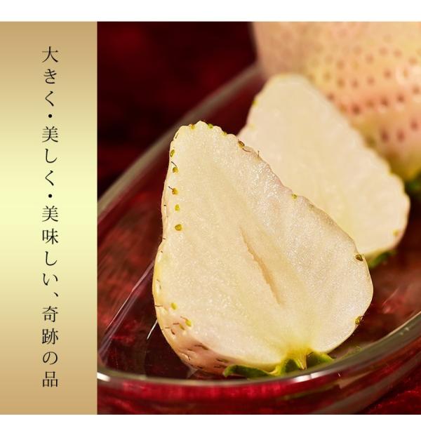 送料無料 佐賀県産 手島靖仁の白いちご 白い宝石 化粧箱入り 9 15粒 約430g 冷蔵 Frt Buyee Buyee Japanese Proxy Service Buy From Japan Bot Online