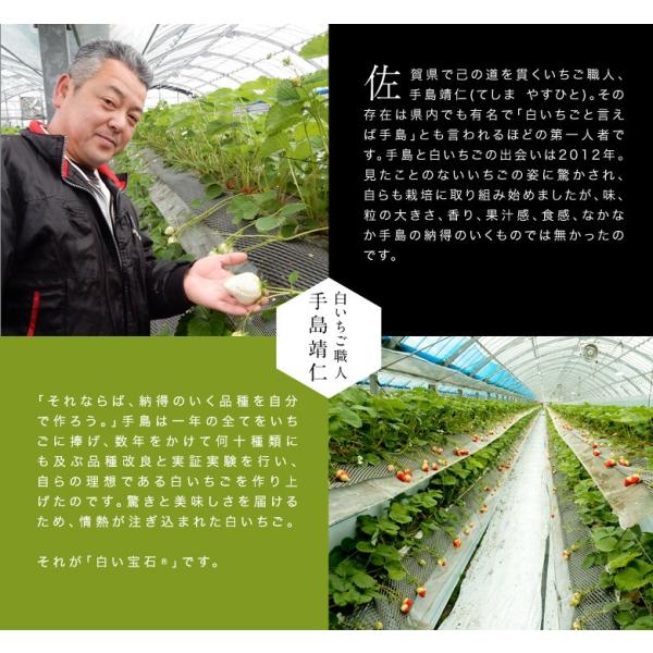 送料無料 佐賀県産 手島靖仁の白いちご 白い宝石 化粧箱入り 9 15粒 約430g 冷蔵 Frt Buyee Buyee 日本の通販商品 オークションの代理入札 代理購入
