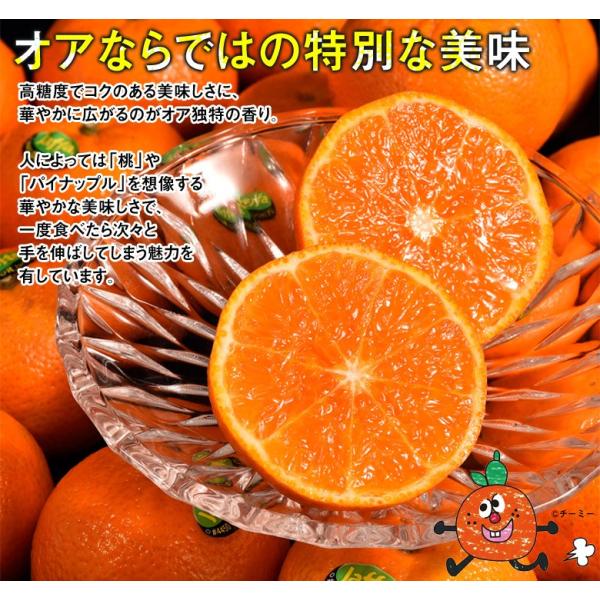 オレンジ オア イスラエル産 約2kg 14 玉 送料無料 冷蔵 Buyee 日本代购平台 产品购物网站大全 Buyee一站式代购 Bot Online