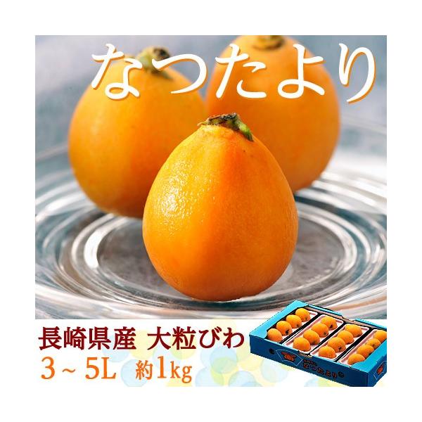 大粒『なつたより』長崎県産 びわ 秀品 3〜5L 約1kg（12〜16玉