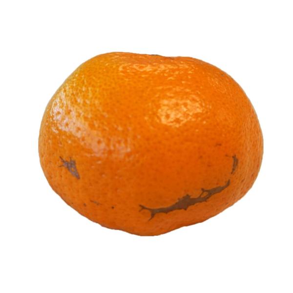 みかん ミカン 柑橘 愛知県蒲郡産 訳あり たまみ 約5kg S Lサイズ 送料無料 Buyee Buyee 提供一站式最全面最专业现地yahoo Japan拍卖代bid代拍代购服务 Bot Online