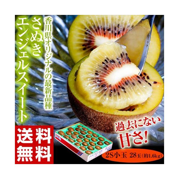  ʂGWFXC[g LECt[c 쌧Y 2S ܍ 1.6kg@28ʓ@Yn 퉷 JA쌧 