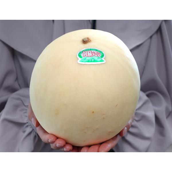 特大『場外ホームランメロン』熊本県 JA阿蘇 2玉 計約3.6kg 産地箱 ※常温 送料無料