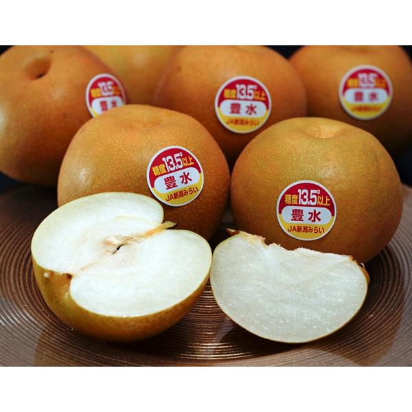 糖度13.5度選別 一糖賞 豊水梨 新潟県産 約2.5kg （4〜8玉） 化粧箱 ※冷蔵 JA新潟かがやき 送料無料