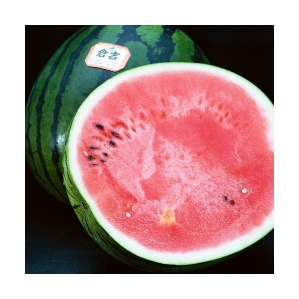 倉吉すいか 鳥取県産 秀品 Lサイズ 1玉 約6kg 簡易箱 ※冷蔵 送料無料