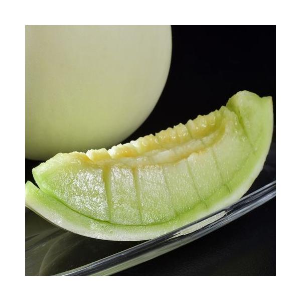 ホームビレンス メロン 青森県産  つがりあんメロン 秀品 1玉 約1.5kg 産地箱 ※常温 送料無料
