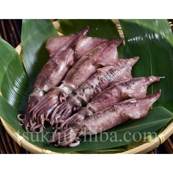 ヤリイカ 子持ちヤリイカ ボイル 青森県産 500g 5 8尾 やりいか いか イカ 烏賊 おつまみ ご飯のお供 おかず お土産 冷蔵 Buyee Buyee Japanese Proxy Service Buy From Japan Bot Online