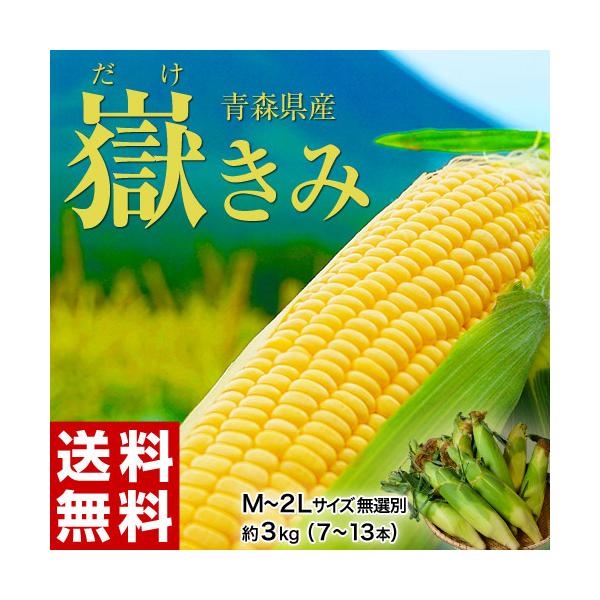 青森県弘前市岩木山獄地区産 トウモロコシ（獄キミ）真空パック 嶽 きみ