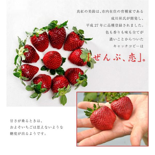 いちご イチゴ 千葉県産 黒いちご 真紅の美鈴 約350g 15粒または18粒 冷蔵 送料無料 Dejapan เสนอราคาและซ อญ ป นท ม ค านายหน า 0