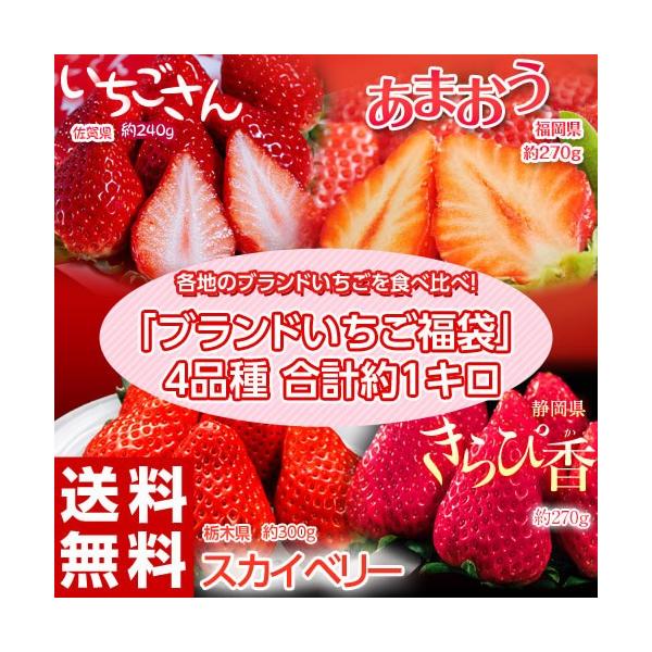 いちご イチゴ いちご福袋 4品種4パック 合計約1kg 送料無料 （あまおう きらぴ香 スカイベリー いちごさん） ※冷蔵