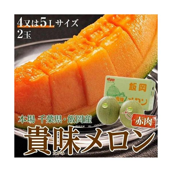 貴味レッドメロン （赤肉） 千葉県飯岡産 秀〜特秀品 4〜6L 2玉入 風袋込 約3.4kg ※常温　送料無料