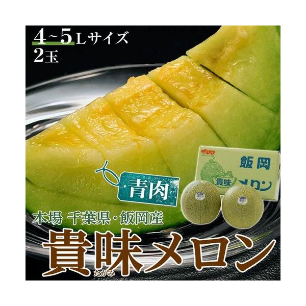 貴味メロン （青肉） 千葉県飯岡産 秀〜特秀品 4〜6L 2玉入 風袋込 約3.4kg ※常温 送料無料
