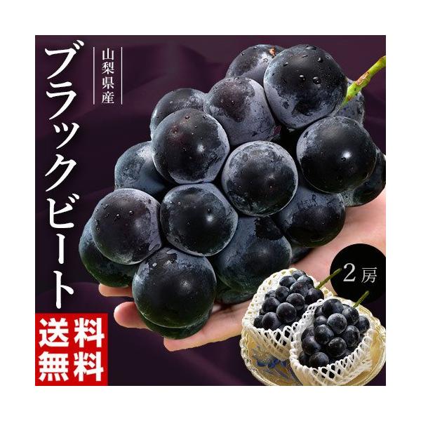 大粒黒ぶどう ブラックビート 山梨県産 マル秀〜秀品 3L×2房 計約1.1kg ※冷蔵 送料無料
