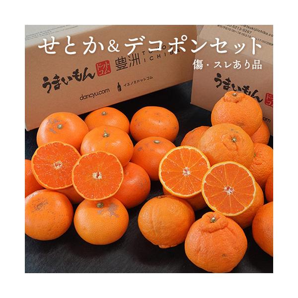 デコポン＆せとか セット」 計約5kg （各約2.5kg） 簡易箱 ※常温