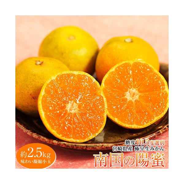 x10.5xȏ 썑̗ziЂ݂j {茧Y݂  3S`S 2.5kg Yn 퉷 