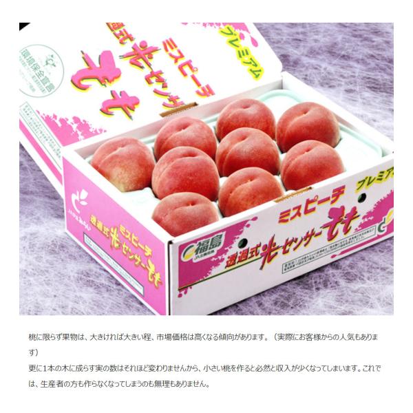 お中元御中元桃もも果物福島県産伊達の桃紅国見6 11玉約1 7kg 送料無料 Buyee Buyee 提供一站式最全面最專業現地yahoo Japan拍賣代bid代拍代購服務