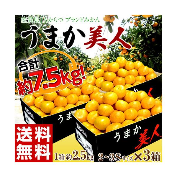 JA ܂l ꌧY ݂ 2.5kg×3  2S`3STCY@퉷@