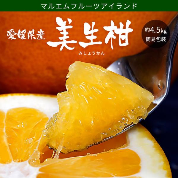 送料無料 マルエムフルーツアイランド 『美生柑（みしょうかん）』 愛媛県産 柑橘 約4.5kg M〜2Lサイズ （9〜13玉程度） 簡易包装 ※常温