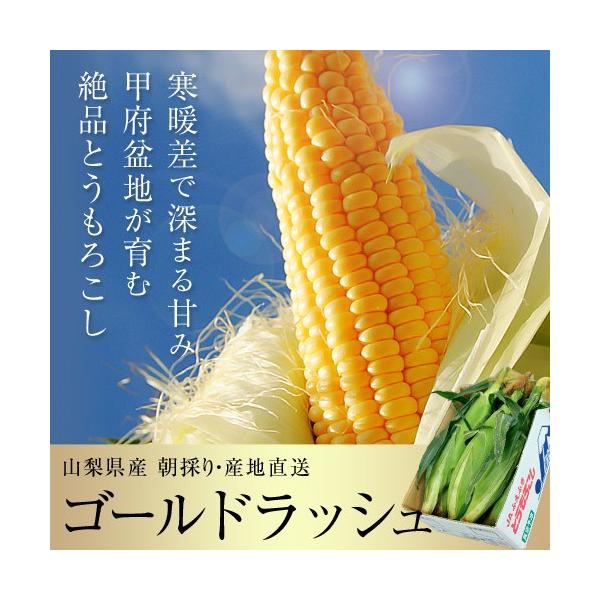 産地直送 ゴールドラッシュ 山梨県産 とうもろこし JAふえふき 2L
