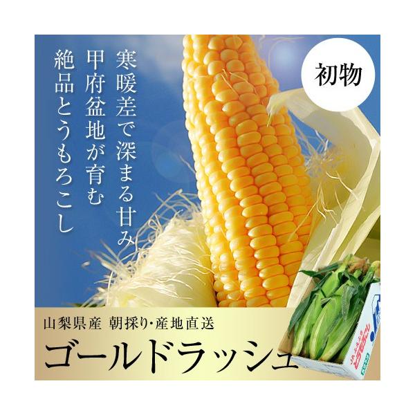 �Y�n���� ���� �S�[���h���b�V�� �R�����Y �Ƃ����낱�� JA�ӂ��ӂ� 2L�T�C�Y ��2.5kg�i6�{����j���①