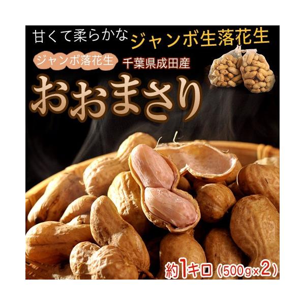 高梨さんの ジャンボ落花生（品種：おおまさり） 千葉県成田産 約1kg （約500g×2袋） 簡易箱 ※冷蔵 送料無料