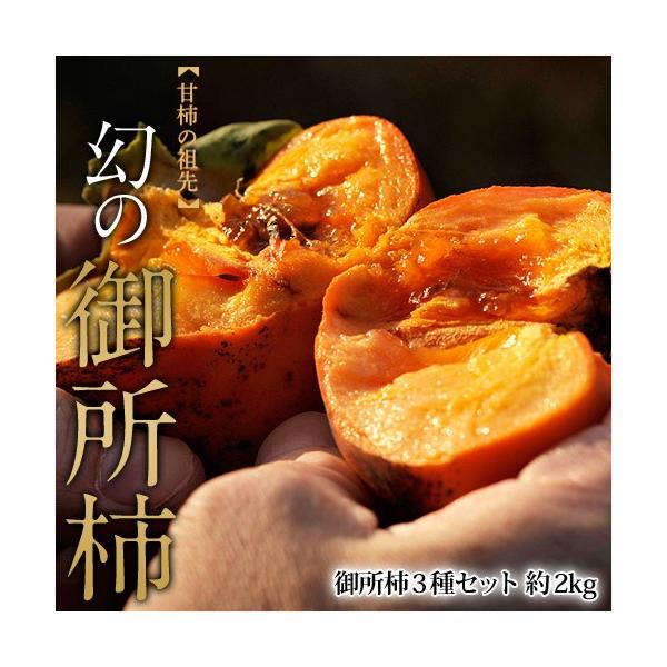 御所柿3種食べ比べセット 奈良県産 約2kg（目安として9〜12玉、本御所