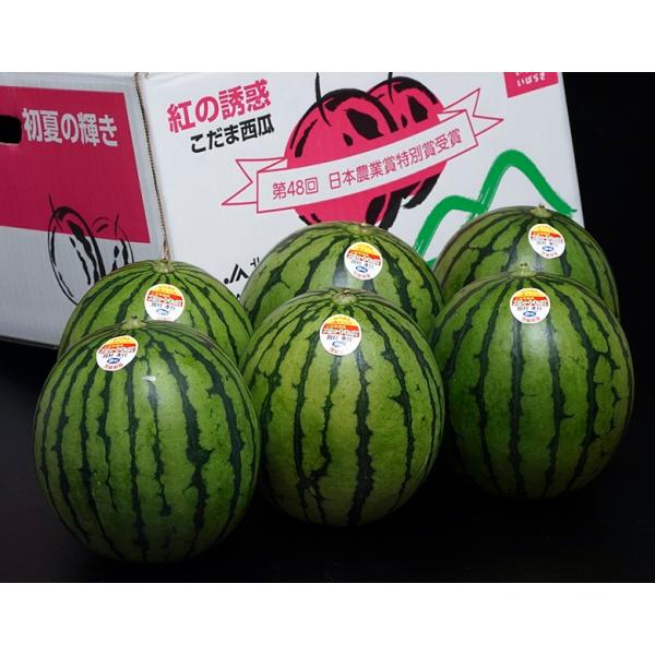 tsukijiichiba_204z14588