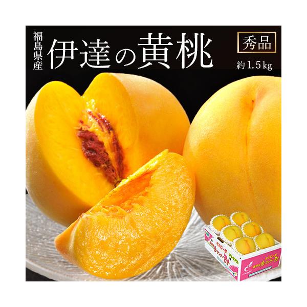 伊達の黄桃 福島県産 秀品 約1.5kg（4〜8玉）産地箱 ※常温 JAふくしま未来 送料無料