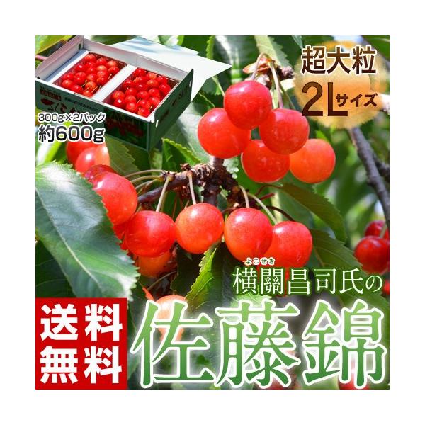 さくらんぼ サクランボ 佐藤錦 北海道仁木町産 横關さんのこだわり佐藤錦 2lサイズ 約300g 2パック 送料無料 Buyee Buyee Japanese Proxy Service Buy From Japan Bot Online