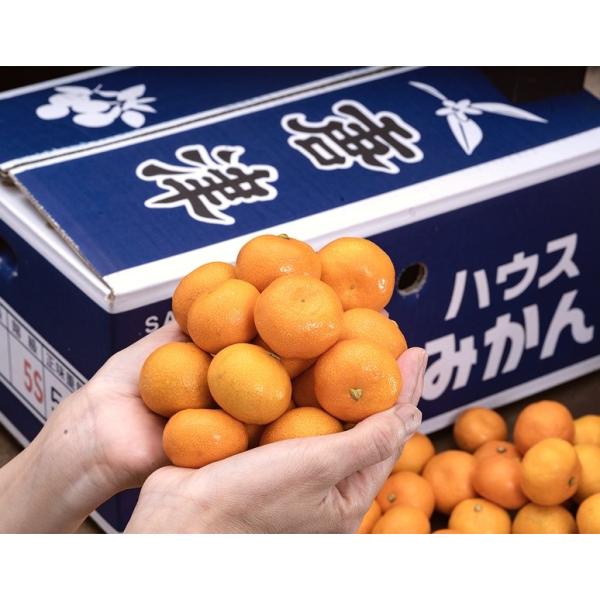 極小玉 ハウスみかん 佐賀県産 JAからつ 5S 約2kg（目安として90玉）簡易箱 ※常温 送料無料