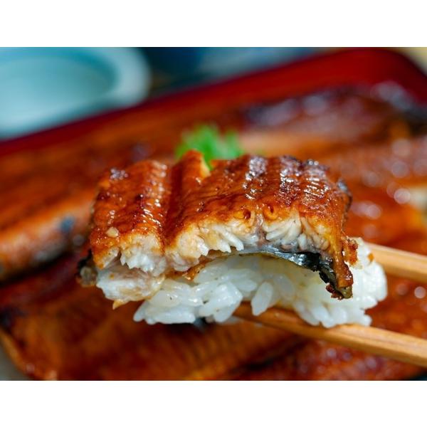 『若うなぎの蒲焼』は、身はふっくらとして柔らかく、口に入れたときにトロっと脂が溶け、噛み締めた時に強い旨みを感じることが出来ます。原料のうなぎはミネラルを多く含んだ地下水が豊富なうなぎ養殖に適した環境下で育まれています。最先端の技術と生産者...