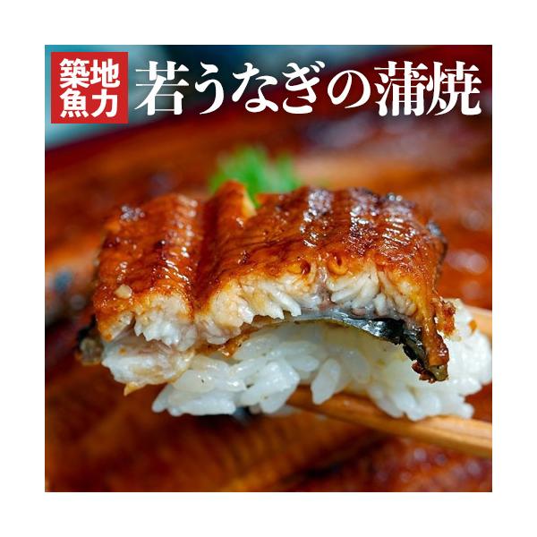 『若うなぎの蒲焼』は、身はふっくらとして柔らかく、口に入れたときにトロっと脂が溶け、噛み締めた時に強い旨みを感じることが出来ます。原料のうなぎはミネラルを多く含んだ地下水が豊富なうなぎ養殖に適した環境下で育まれています。最先端の技術と生産者...