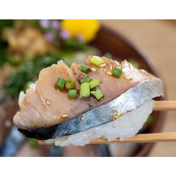 国産の大鯖使用 さば漬け丼の具 5袋(140〜169g/袋×5) 特製タレ付 スライス済 ※冷凍　冷凍同梱可能