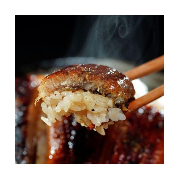 ご自宅用 うなぎの蒲焼10尾 鹿児島県産 長焼き1尾 約110g×10 タレ・山椒付き ※冷凍 送料無料