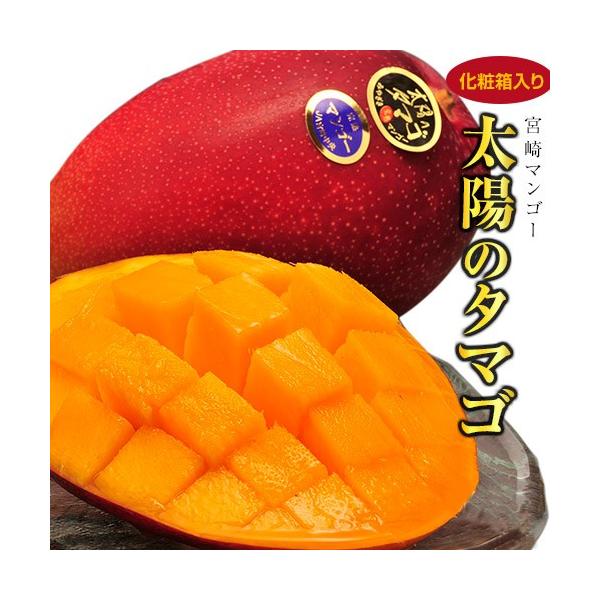 超大玉 太陽のタマゴ みやざき完熟マンゴー 宮崎県産 3〜4L 2玉 （1玉
