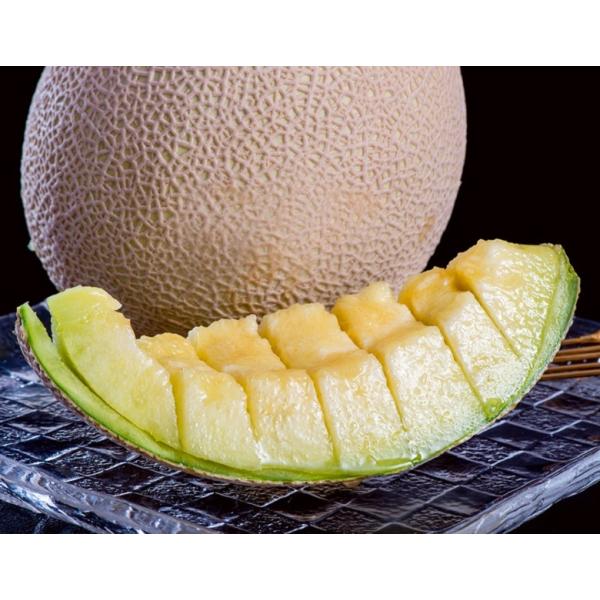 wNExÉY 1 (1.3kgȏ) ȏ ϔ@퉷 