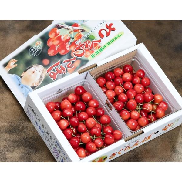 さくらんぼ（佐藤錦または紅秀峰） 山形県産 秀品 L〜2L 約1kg （約500g×2パック） バラ詰め 産地箱 ※冷蔵 送料無料