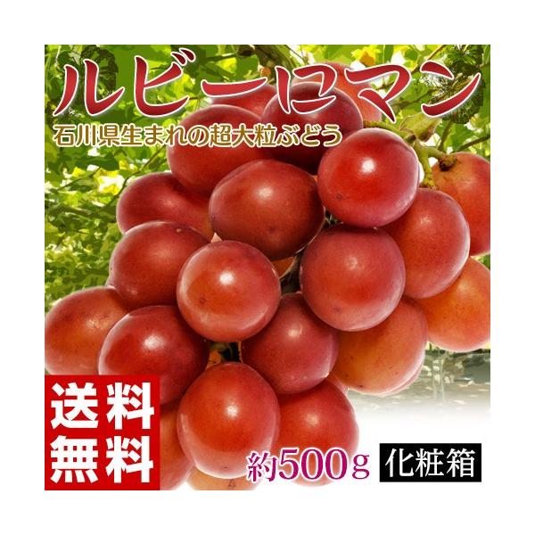 ルビーロマン 石川県産 大粒ぶどう 秀品 1房 約500〜600g 化粧箱 ※冷蔵  送料無料