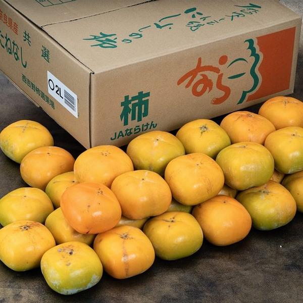 ご自宅用　たねなし柿（品種：刀根早生） 奈良県産 M〜2L 約7.5kg（32〜40玉）産地箱 ※冷蔵 送料無料